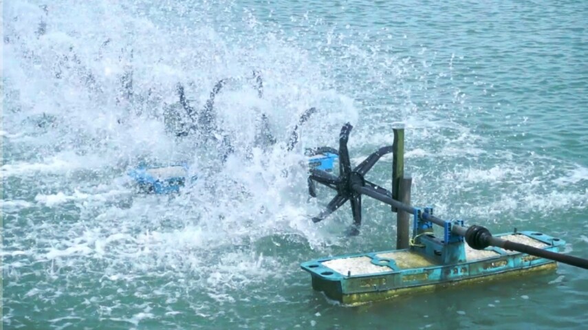 Solar Powered Aerator