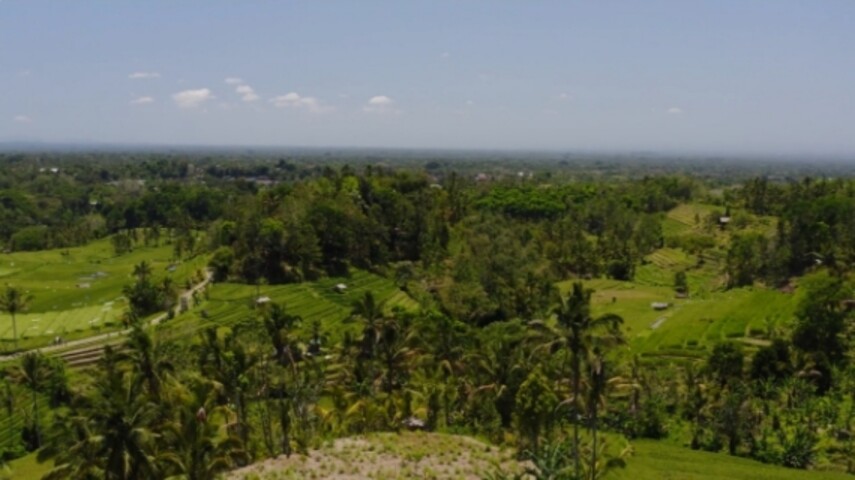 Solar Powered Farmhouse