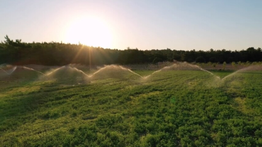 Solar Powered Water Pump